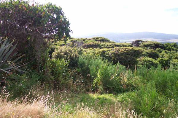 ACTION WANTED!
DRASTIC REDUCTION. Picture 3