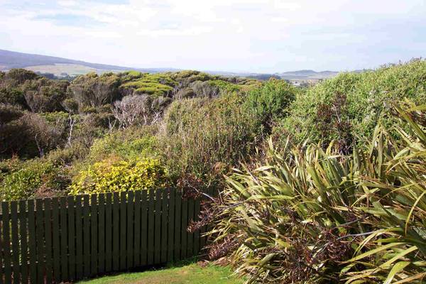 ACTION WANTED!
DRASTIC REDUCTION. Picture 2