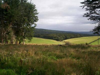 MUST BE SOLD!!! COUNTRY LIVING Picture