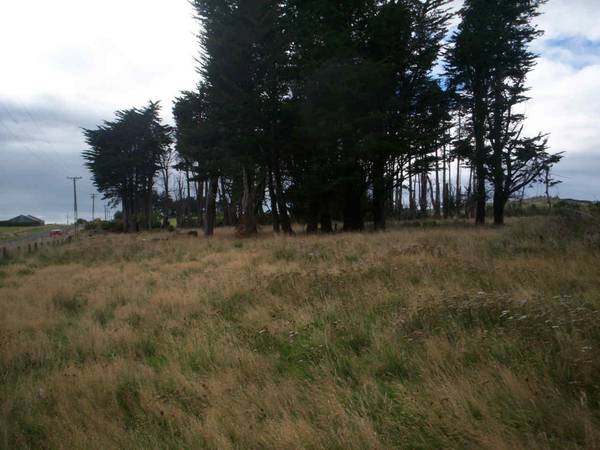 MUST BE SOLD!!! COUNTRY LIVING Picture 2