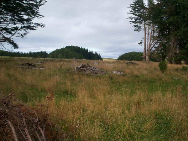 MUST BE SOLD!!! COUNTRY LIVING Picture 3