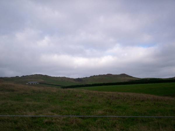 TARAMEA BAY Picture 3