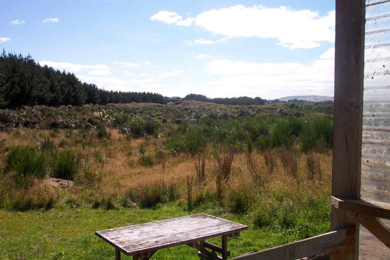 NATURE @ IT'S BEST - COLAC BAY Picture 2