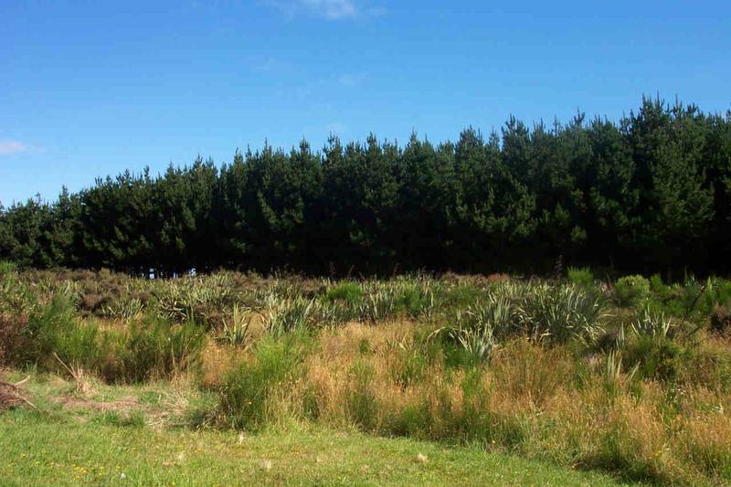 NATURE @ IT'S BEST - COLAC BAY Picture 3