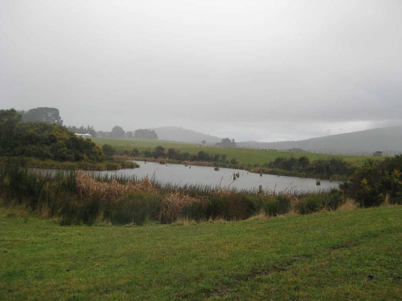 WILDLIFE AT YOUR BACK DOOR Picture 3