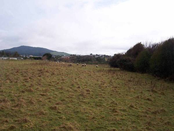 LIFESTYLE BLOCK IN TOWN Picture 2