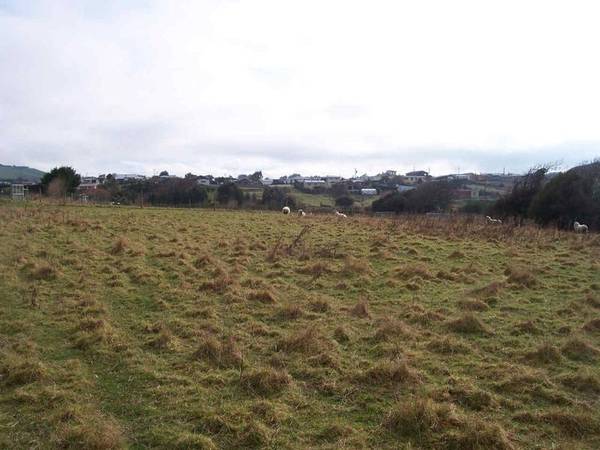 LIFESTYLE BLOCK IN TOWN Picture 1