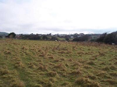 LIFESTYLE BLOCK IN TOWN Picture