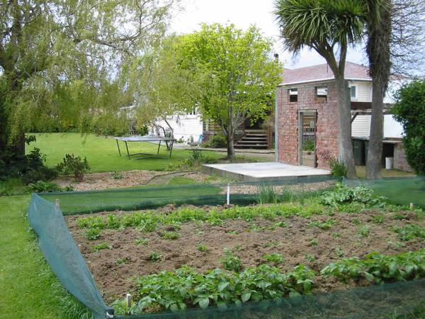 NEST OR INVEST Picture 3