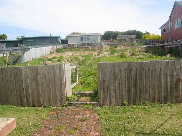 A RARE FIND Picture 3