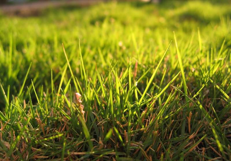 They Don't Come Much Cheaper!!! Offers considered, make one today!! Picture 1