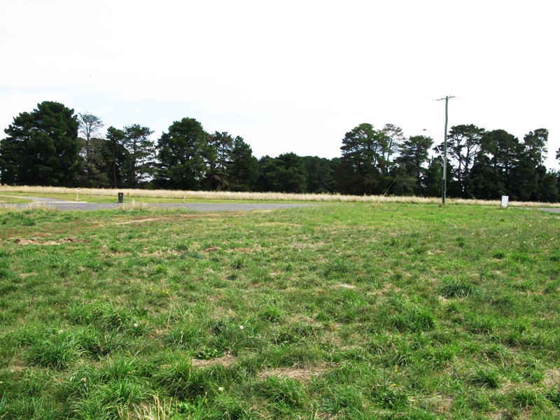 What a find! Picture 1