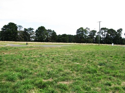 What a find! Picture