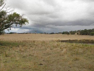 Look at all this land! Picture Look at all this land! Picture