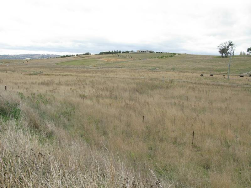 Land for sale Picture 1