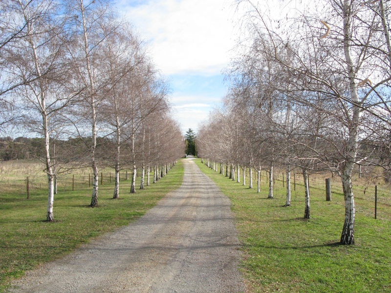 Country retreat so close to town Picture 2