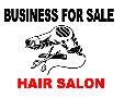 Excellent business for sale! Picture
