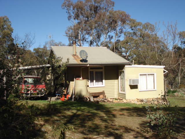 Time for a tree change! Picture 3