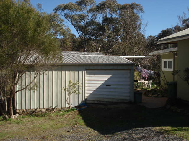 Time for a tree change! Picture 2