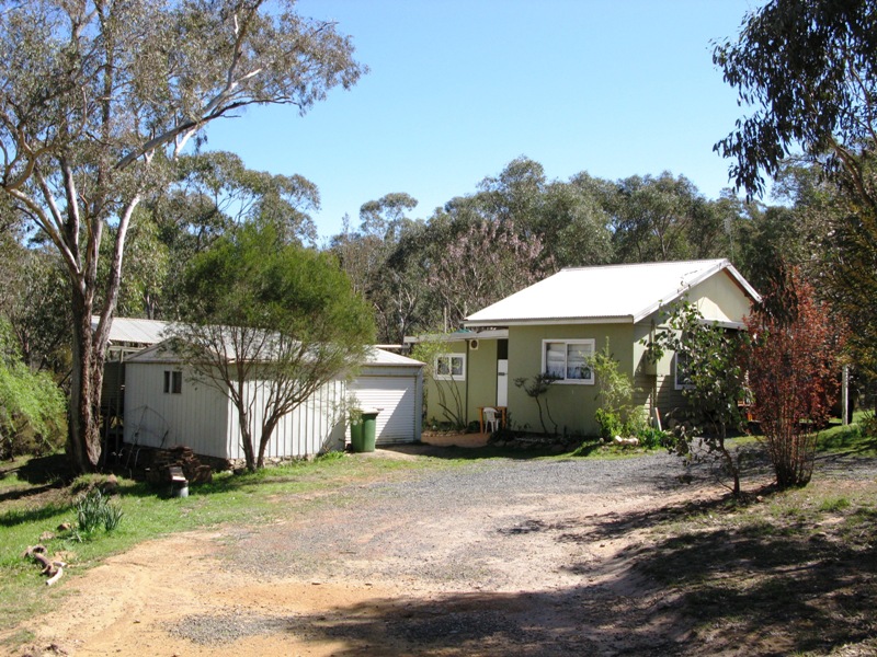 Time for a tree change! Picture 1