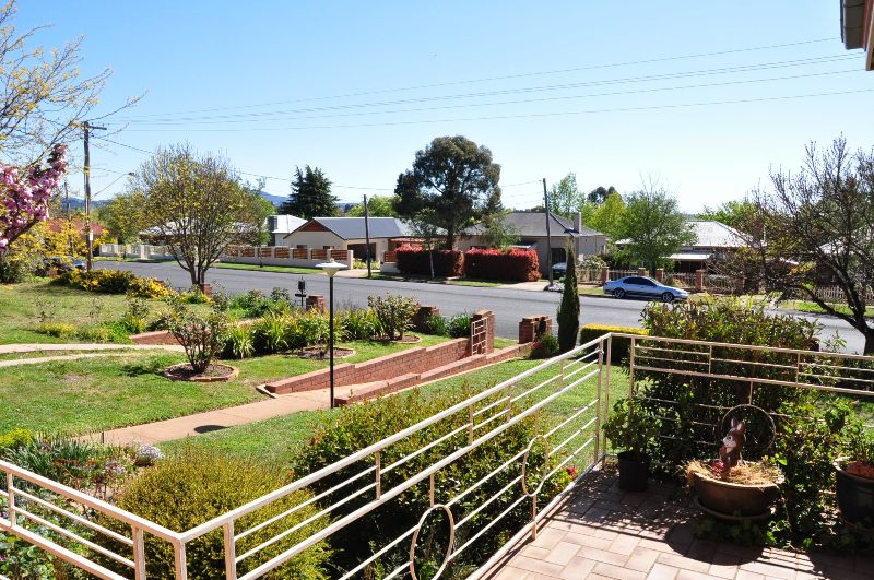 Would you look at this one! Picture 3