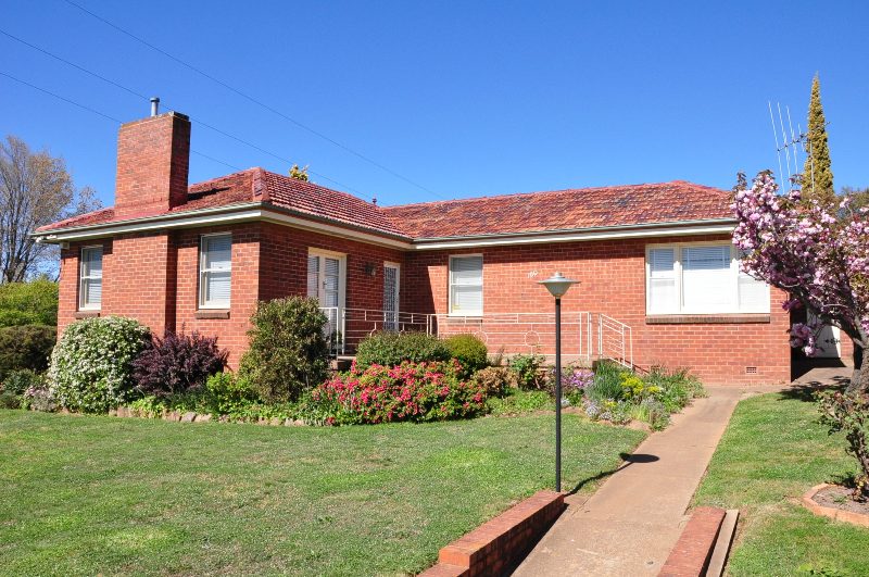 Would you look at this one! Picture 1