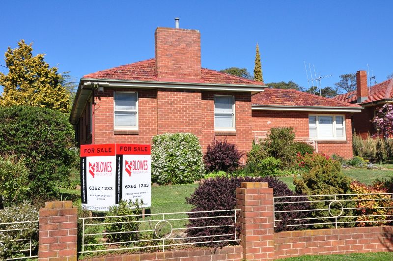 Would you look at this one! Picture 2