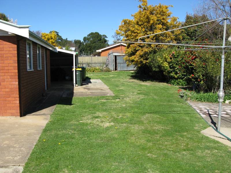 Look at this beauty! Picture 3