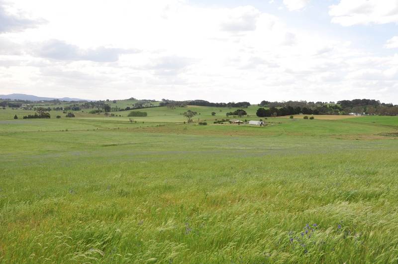 How about a lifestyle change! Picture 3