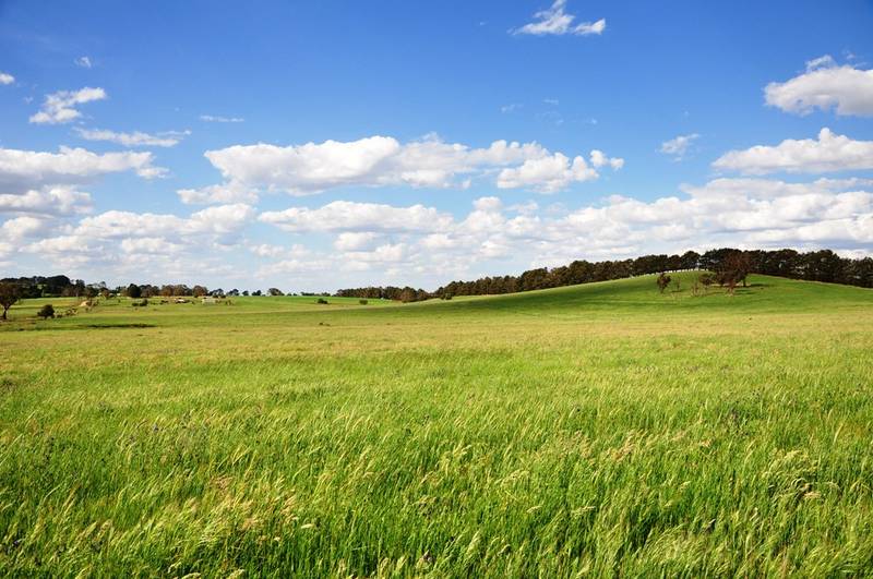 How about a lifestyle change! Picture 2