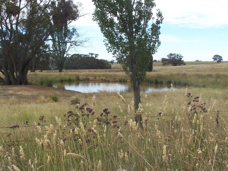 What about the position - you won't find better than this! Picture 2