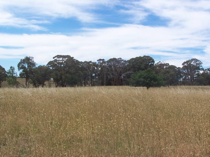 What about the position - you won't find better than this! Picture 3