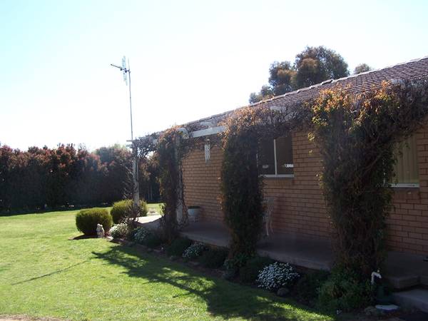 Rural Feel with all City Services , Beautifully presented , Just over 1 Acre Picture 3