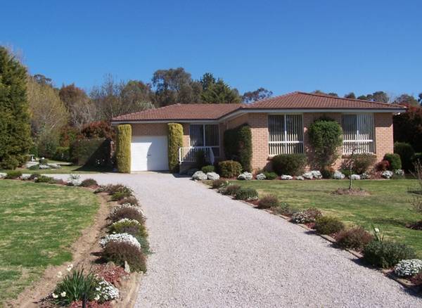 Rural Feel with all City Services , Beautifully presented , Just over 1 Acre Picture 2