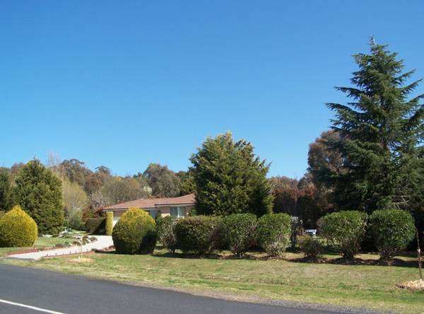 Rural Feel with all City Services , Beautifully presented , Just over 1 Acre Picture 1