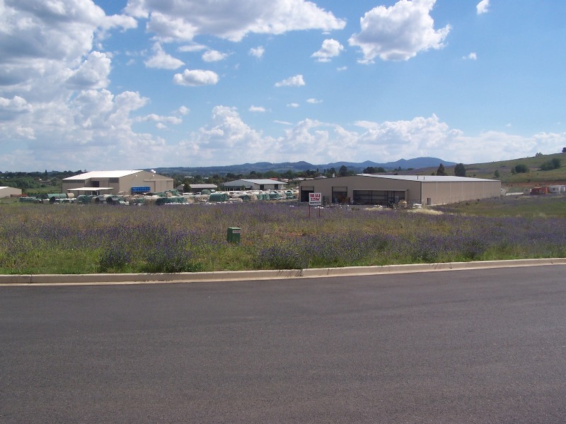 INDUSTRIAL LAND FOR SALE Picture 3