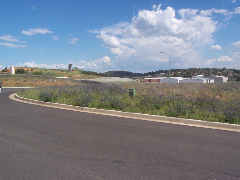INDUSTRIAL LAND FOR SALE Picture 1