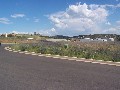 INDUSTRIAL LAND FOR SALE Picture