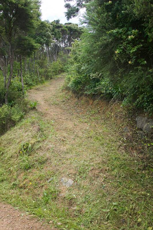 Elevated Site Picture 3