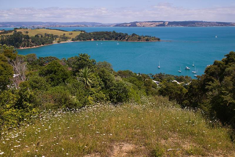 Elevated Site Picture 1