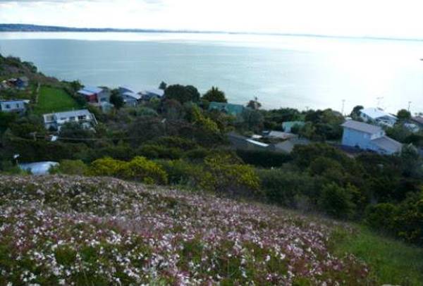 77 O'Brien Rd Picture 77 O'Brien Rd Picture