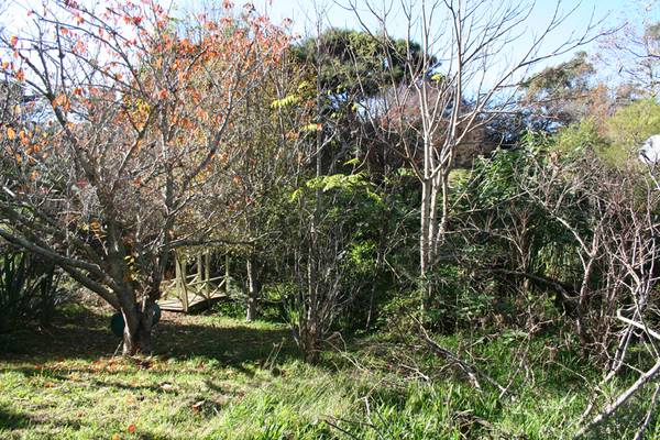 PRICED TO SELL Picture 3