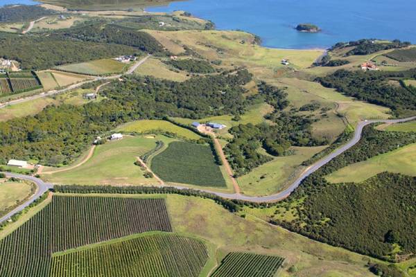 TE ARA RETREAT Picture 1