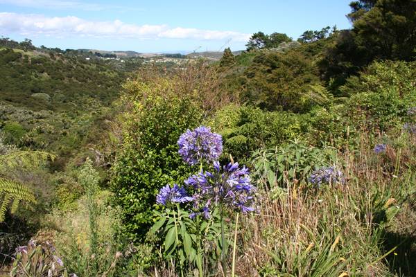 GIVE ME LAND, LOTS OF LAND! Picture 1