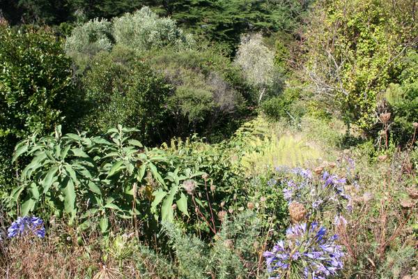 GIVE ME LAND, LOTS OF LAND! Picture 3