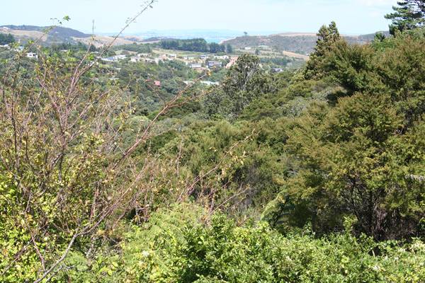 GIVE ME LAND, LOTS OF LAND! Picture 2