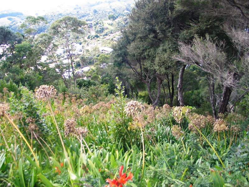 MORTGAGEE AUCTION Picture