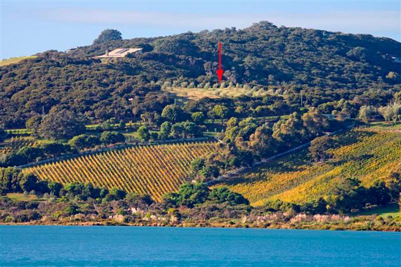 Putiki Grove At Rangihoua Estate Picture 1