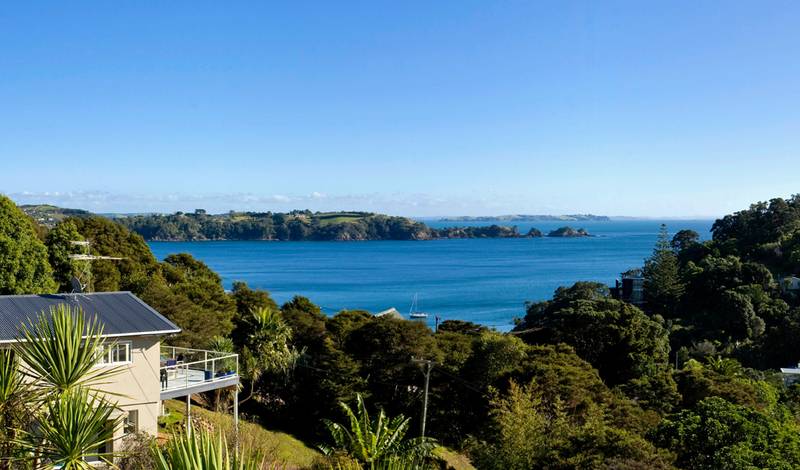 VENDOR RESTRUCTURING - MUST SELL Picture 2