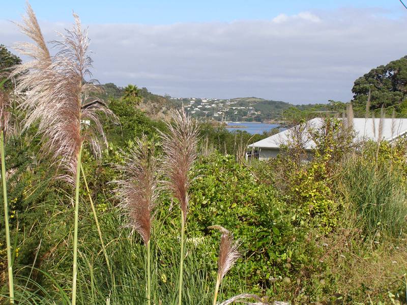 Build Your Beach House Here Picture 3